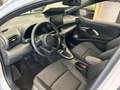 Mazda 2 MAZDA2 HYBRID 2024 1.5L CVT 116 ch Homura 5P - thumbnail 3