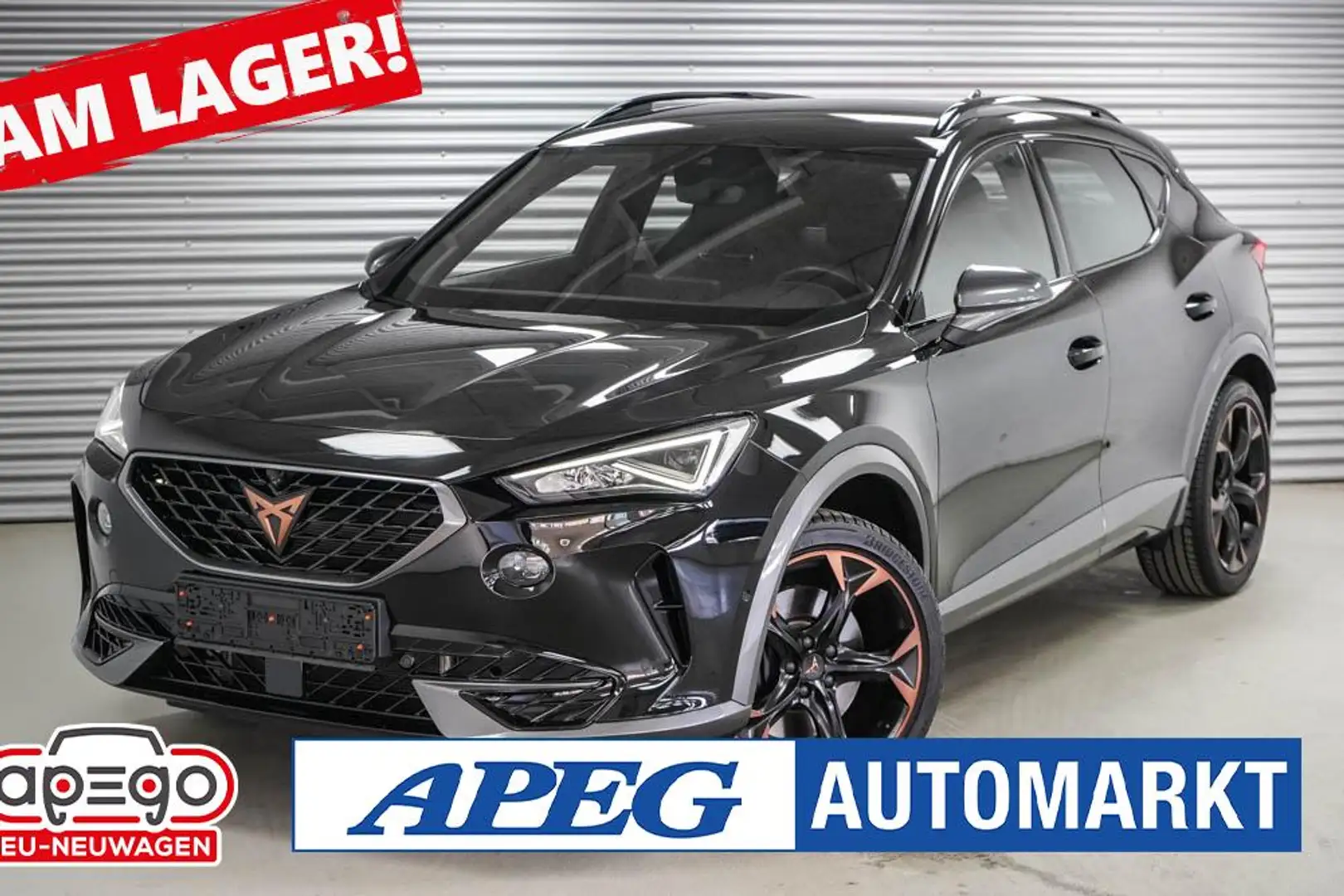 CUPRA Formentor 2,0 TSI DSG 4Drive VZ Negro - 1