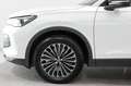 Volkswagen Tiguan 2.0 TDI 4M DSG Goal AHK 360° Matrix Pano Weiß - thumbnail 15