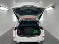 Ford Mondeo Turnier Titanium LED Pano Kamera ST LINE Blanco - thumbnail 15