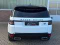 Land Rover Range Rover Sport 3.0 V6 HSE *Panorama* Weiß - thumbnail 8