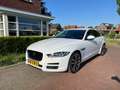 Jaguar XE XE 2.0 D Portfolio Biały - thumbnail 2
