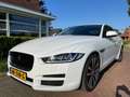 Jaguar XE XE 2.0 D Portfolio Biały - thumbnail 3