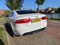 Jaguar XE XE 2.0 D Portfolio Biały - thumbnail 6
