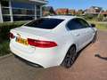 Jaguar XE XE 2.0 D Portfolio Biały - thumbnail 9