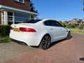 Jaguar XE XE 2.0 D Portfolio Biały - thumbnail 5