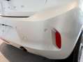 Opel Corsa 1.2T XHL Hybrid S/S Edition Aut. 110 Grigio - thumbnail 8