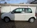 Volkswagen Lupo Rave *2.HAND+TÜV NEU+CHECKHEFT+SERVICE NEU* Weiß - thumbnail 7