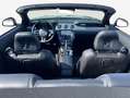 Ford Mustang Convertible Aut.GT *MagneRide*ACC*LEDER Schwarz - thumbnail 9
