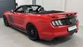 Ford Mustang 5,0 Ti-VCT V8 GT Cabrio Aut. *Remus Abgasanlage* Rot - thumbnail 17