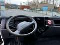 Mitsubishi Canter 3C13 EURO5 BELGIUM CAR Weiß - thumbnail 11