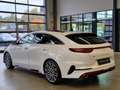 Kia ProCeed / pro_cee'd PROCEED GT ALCANTARA NAV SHZ JBL CAMERA PANO ACC Weiß - thumbnail 7