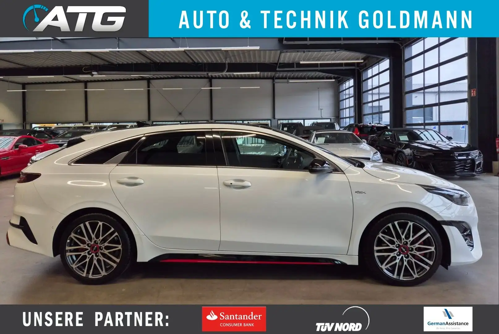 Kia ProCeed / pro_cee'd PROCEED GT ALCANTARA NAV SHZ JBL CAMERA PANO ACC Weiß - 1