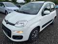 Fiat Panda Panda 1,2 69 Lounge Lounge Weiß - thumbnail 1