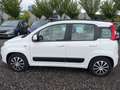 Fiat Panda Panda 1,2 69 Lounge Lounge Weiß - thumbnail 8