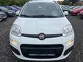 Fiat Panda Panda 1,2 69 Lounge Lounge Weiß - thumbnail 2