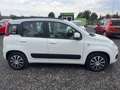 Fiat Panda Panda 1,2 69 Lounge Lounge Weiß - thumbnail 4