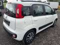 Fiat Panda Panda 1,2 69 Lounge Lounge Weiß - thumbnail 5