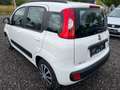 Fiat Panda Panda 1,2 69 Lounge Lounge Weiß - thumbnail 7