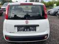 Fiat Panda Panda 1,2 69 Lounge Lounge Weiß - thumbnail 6