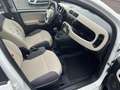 Fiat Panda Panda 1,2 69 Lounge Lounge Weiß - thumbnail 13