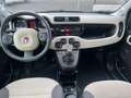 Fiat Panda Panda 1,2 69 Lounge Lounge Weiß - thumbnail 14