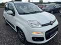 Fiat Panda Panda 1,2 69 Lounge Lounge Weiß - thumbnail 3