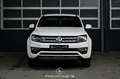 Volkswagen Amarok 4Motion 3.0 TDI Highline EXP € 26.650,- Blanc - thumbnail 3