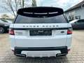Land Rover Range Rover Sport SportHSE Dynamic*PANO*LASER*HUD*SOUND*STHZ* Weiß - thumbnail 5