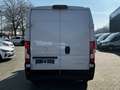 Opel Movano Cargo 3,5t L2H2 2.2 BlueHDi 140 PS Blanc - thumbnail 6