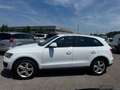 Audi Q5 Q5 2.0 tdi quattro 143cv Manuale!!! Blanc - thumbnail 4