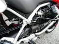 Moto Guzzi Stelvio 4V Rot - thumbnail 21