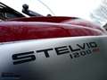 Moto Guzzi Stelvio 4V Rood - thumbnail 19