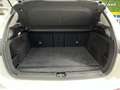Mercedes-Benz B 180 180d 7G-DCT Blanco - thumbnail 42