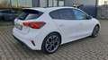Ford Focus 1.0 EcoBoost MHEV ST-Line X - Open dak! Weiß - thumbnail 6