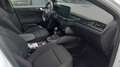 Ford Focus 1.0 EcoBoost MHEV ST-Line X - Open dak! Weiß - thumbnail 9