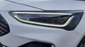 Ford Focus 1.0 EcoBoost MHEV ST-Line X - Open dak! Weiß - thumbnail 27