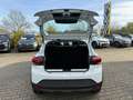 Dacia Sandero Stepway Expression TCe90 CVT Kamera SHZ Blanc - thumbnail 6