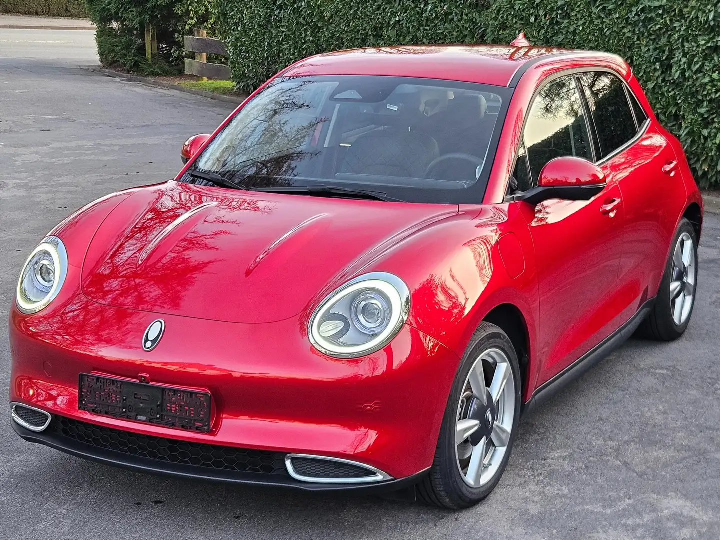 Ora Funky Cat 300 Pro Sitz-u Lenkradheizung GARANTIE bis 10.2028 Rot - 1