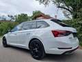 Skoda Superb SuperB  ** 2.0 TDI DSG  SPORTLINE**Mwst ausweis... Weiß - thumbnail 14