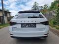 Skoda Superb SuperB  ** 2.0 TDI DSG  SPORTLINE**Mwst ausweis... Weiß - thumbnail 8
