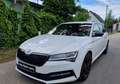 Skoda Superb SuperB  ** 2.0 TDI DSG  SPORTLINE**Mwst ausweis... Weiß - thumbnail 2