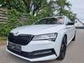 Skoda Superb SuperB  ** 2.0 TDI DSG  SPORTLINE**Mwst ausweis... Weiß - thumbnail 12