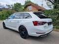 Skoda Superb SuperB  ** 2.0 TDI DSG  SPORTLINE**Mwst ausweis... Weiß - thumbnail 6