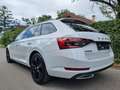 Skoda Superb SuperB  ** 2.0 TDI DSG  SPORTLINE**Mwst ausweis... Weiß - thumbnail 11