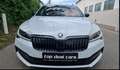 Skoda Superb SuperB  ** 2.0 TDI DSG  SPORTLINE**Mwst ausweis... Weiß - thumbnail 5