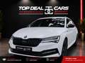 Skoda Superb SuperB  ** 2.0 TDI DSG  SPORTLINE**Mwst ausweis... Weiß - thumbnail 1