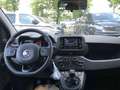 Fiat Panda MY24 1.0 Klima PDC Komfortpaket Zwart - thumbnail 9