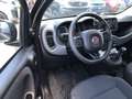 Fiat Panda MY24 1.0 Klima PDC Komfortpaket Zwart - thumbnail 11