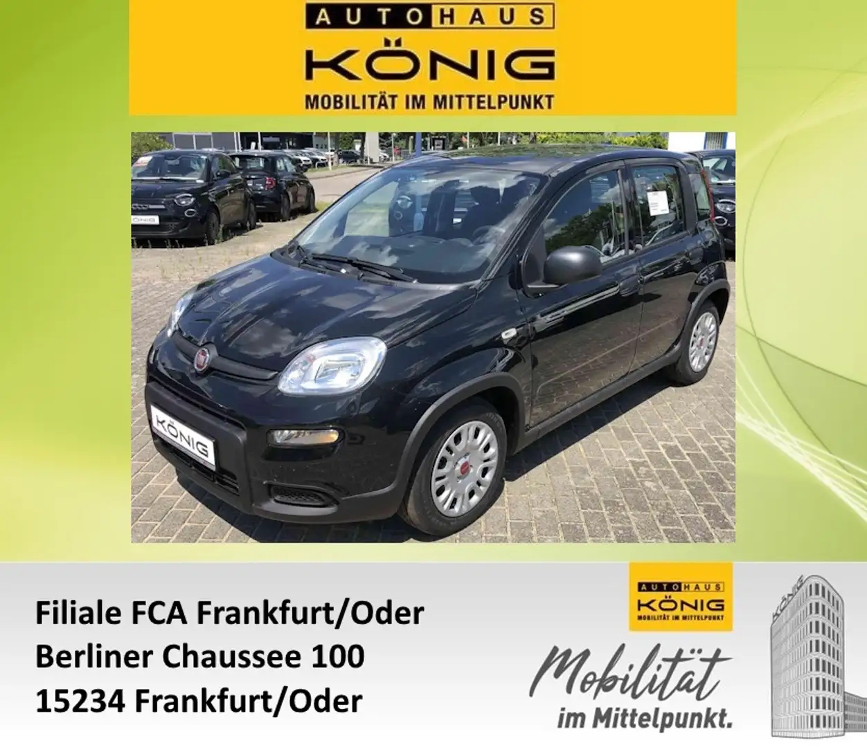 Fiat Panda MY24 1.0 Klima PDC Komfortpaket Noir - 1